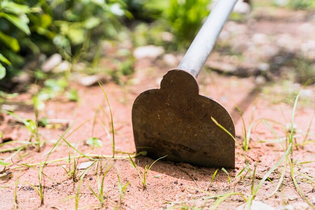 Gardening