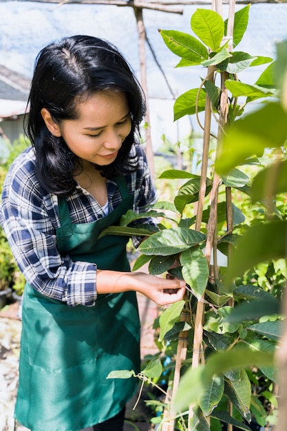 Gardening