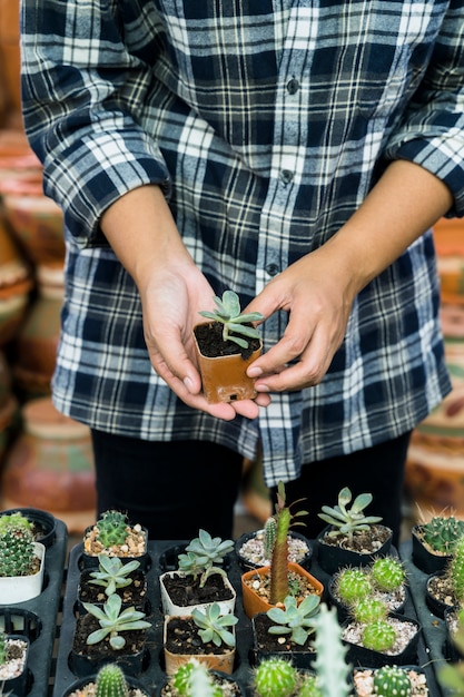 Foto gratuita giardinaggio