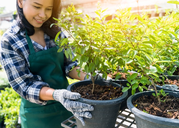 Foto gratuita giardinaggio