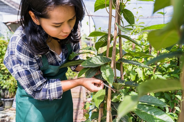 Free photo gardening