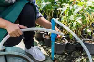 Foto gratuita giardinaggio