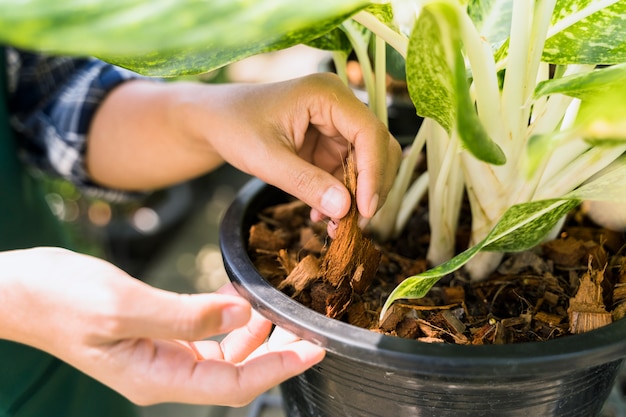 Gardening