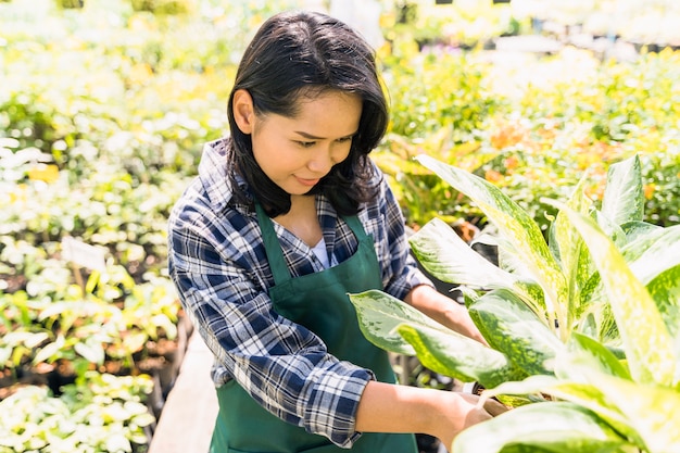 Free photo gardening