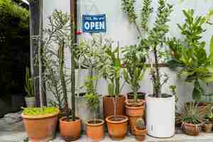 Foto gratuita giardinaggio