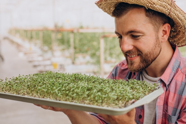 Gardner with microgreens in his greenhouse