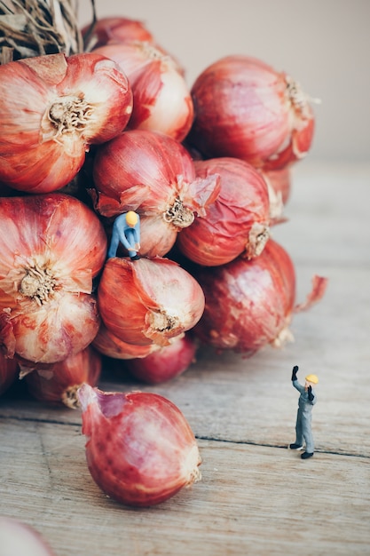 Aglio con le bambole di lavoro