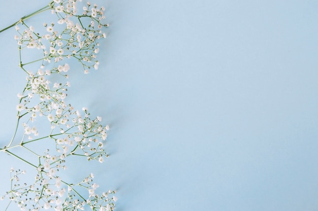 Gentle floral twigs on blue