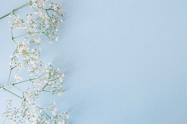 青の優しい花の小枝