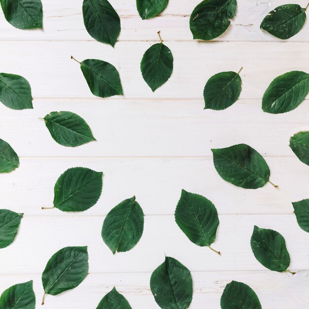 Geometric leaves ornament