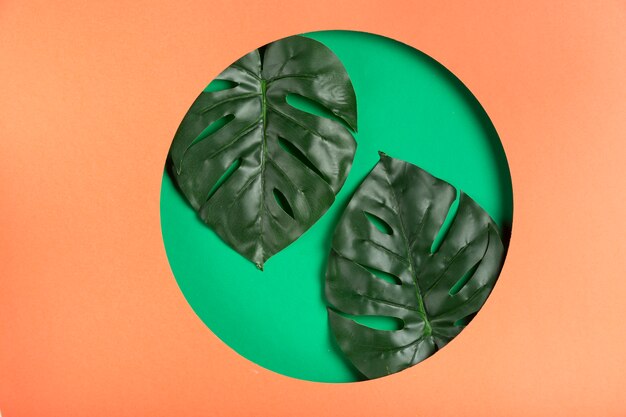 Geometric paper shape with realistic leaves