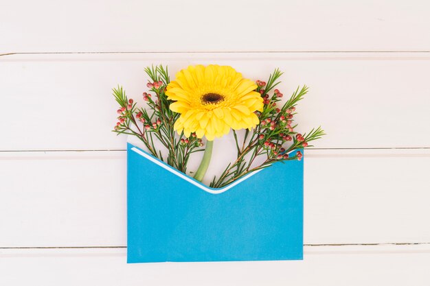 Gerbera flower in envelope on table