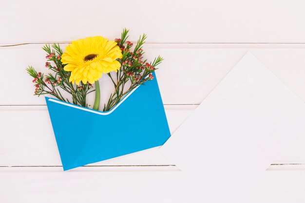 Gerbera flower in envelope with paper