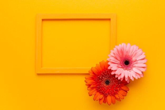 コピースペースの空のフレームにガーベラの花 無料の写真