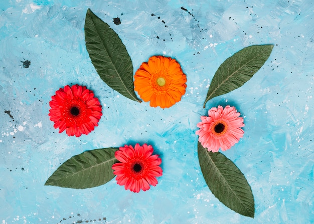 Gerbera flowers with green leaves on table 