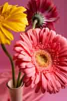 Foto gratuita fiori di gerbera con sfondo rosa