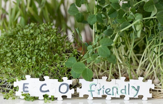 germination of microgreens germination of seeds at home