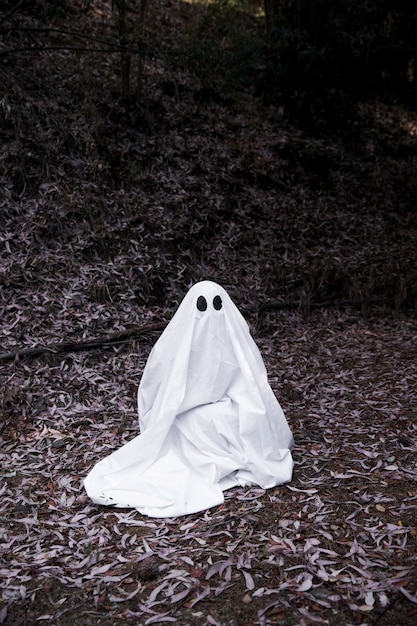 Foto gratuita fantasma seduto sul terreno nella foresta