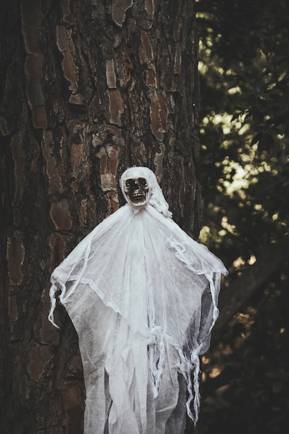 Бесплатное фото Призрак с лицом черепа, висящим на дереве