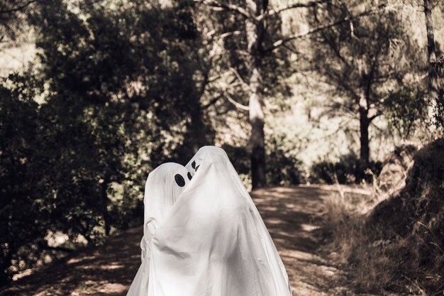 公園の歩道に抱かれている幽霊