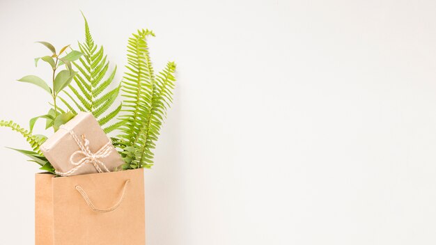 A gift box and green fern leaves in brown paper bag with space for text