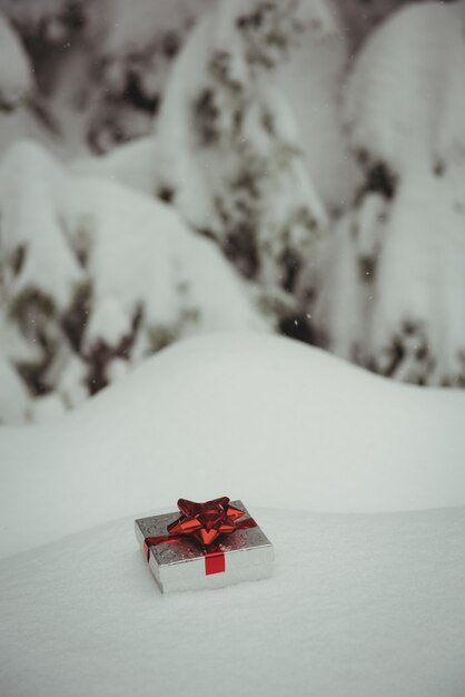 Gift box in a snowy landscape