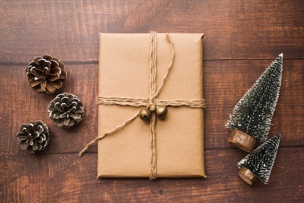 Gift box with cones and small fir trees 