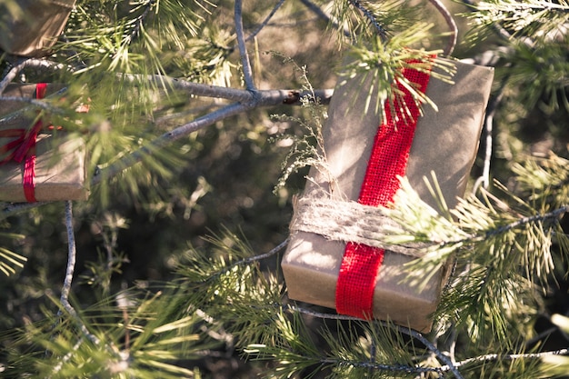 Gift boxes in nature