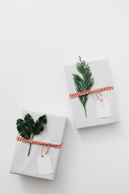 Gift boxes with green plants on table