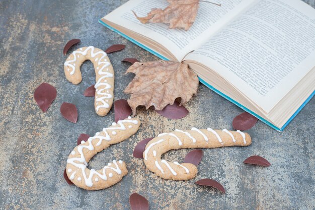 Gingerbread cookies and open book with leaves on marble surface. High quality photo