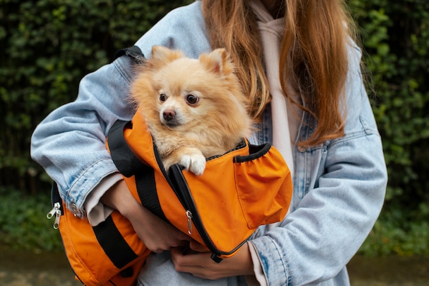 無料写真 バッグの正面図で子犬を運ぶ女の子