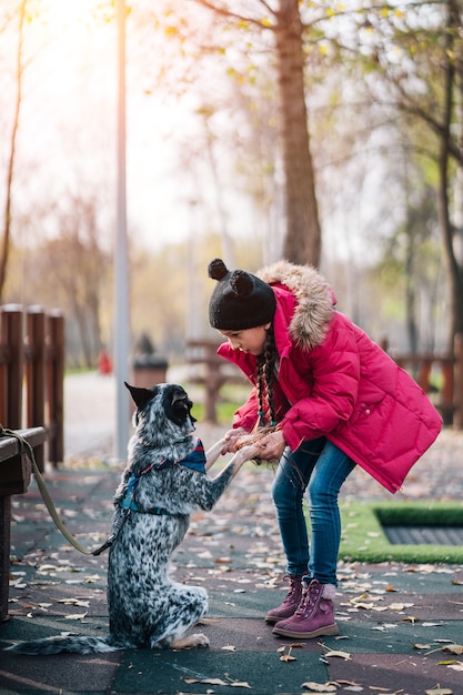 Девочки играют с собакой в осенний солнечный парк, листопад