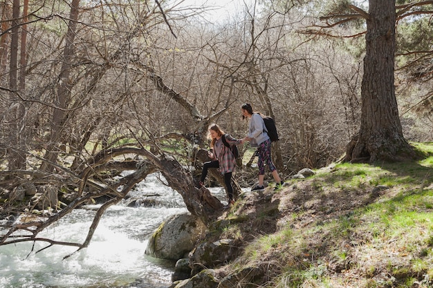 Free photo girl climbing a tree by the river