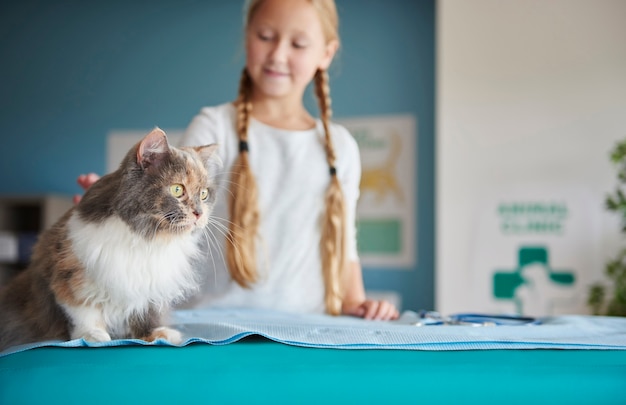 Girl and her cat at the vet
