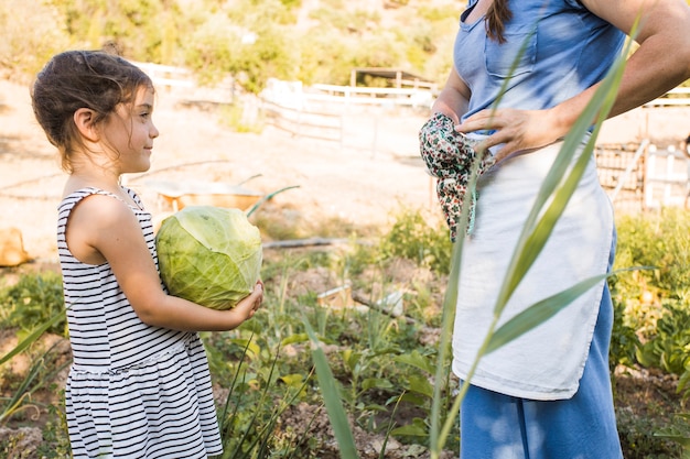 Free photo girl holding cabbage in hand standing with mother in the field