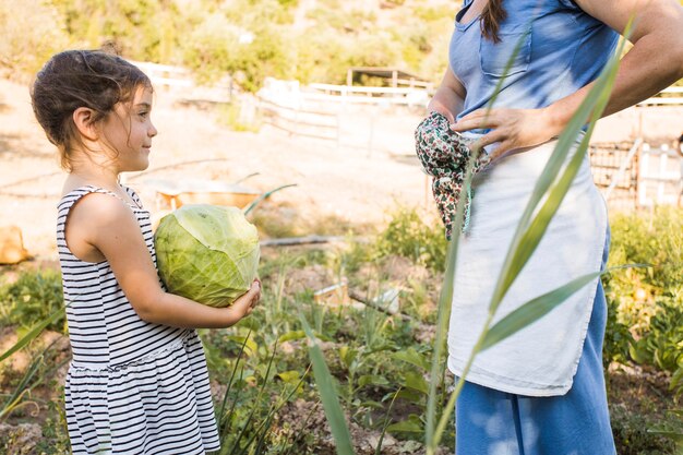 Girl holding cabbage in hand standing with mother in the field