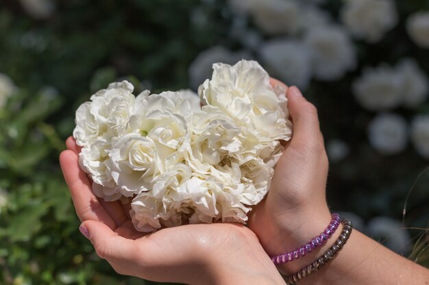 A girl holding flowers in her hands