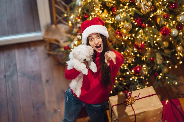 Girl holding a small dog in her arms on new year's eve