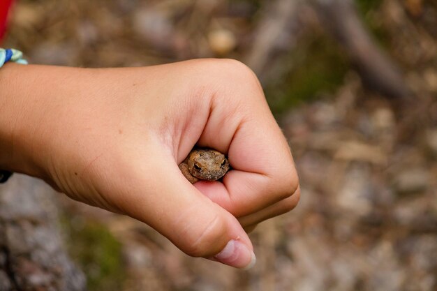 Girl holding a toad in her fist