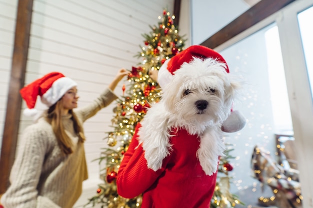 A girl holds a small dog on her hands at New Year's Eve New Year with a friend