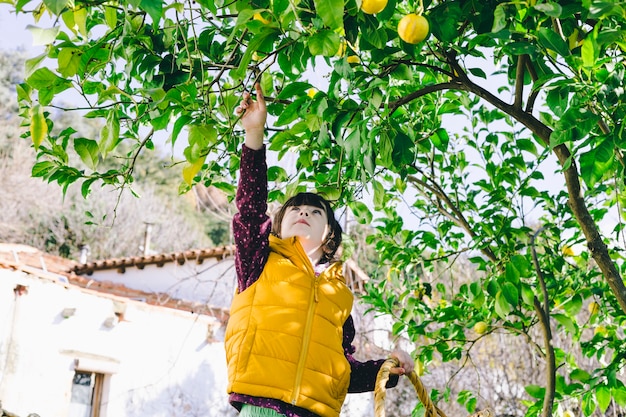 Girl under lemon tree