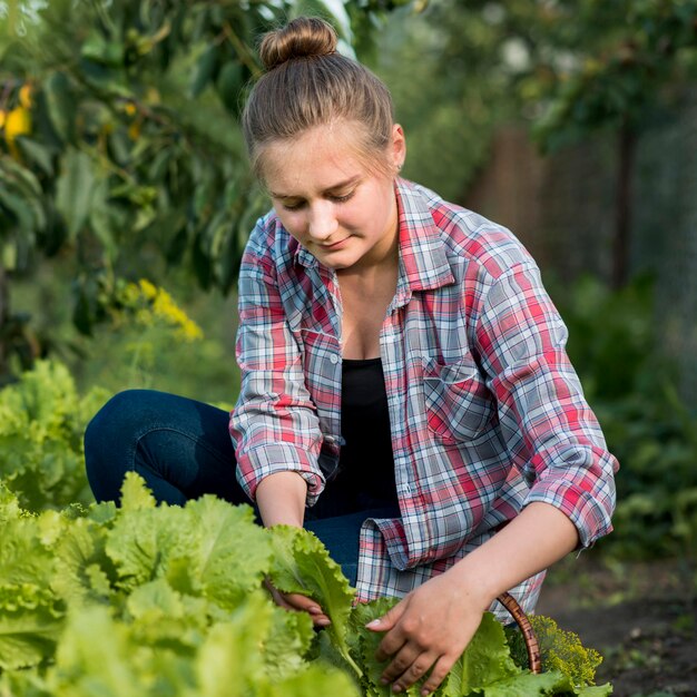 Girl picking up fresh lettuce