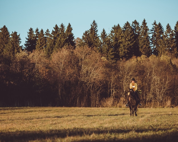 Foto gratuita ragazza cavalca un cavallo