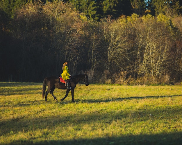 Foto gratuita ragazza cavalca un cavallo