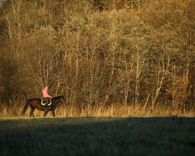 girl ride a horse