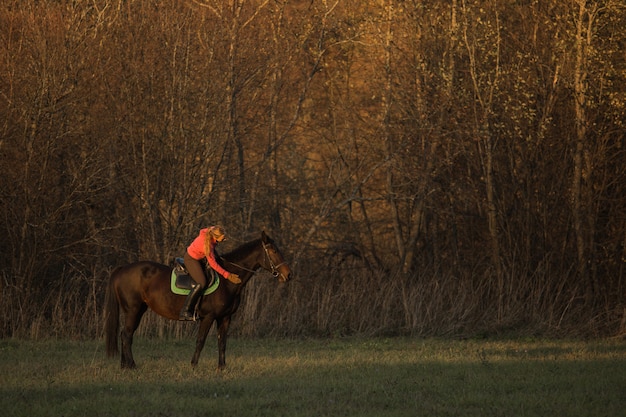 Foto gratuita ragazza cavalca un cavallo