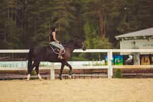 Foto gratuita la ragazza cavalca un cavallo