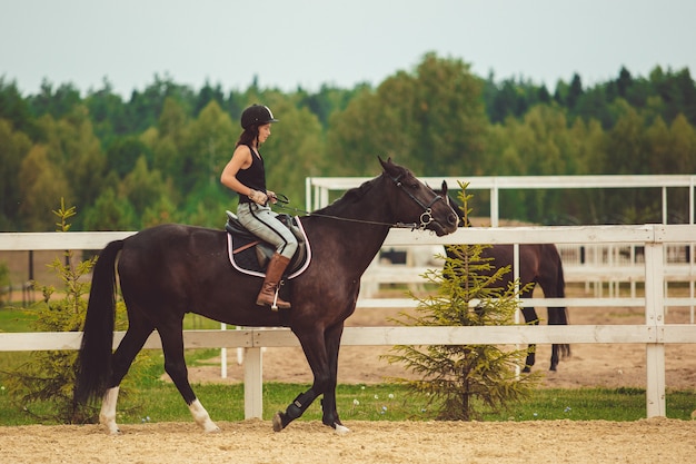 Foto gratuita la ragazza cavalca un cavallo