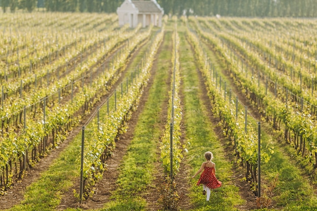 a girl runs between rows of grapes
