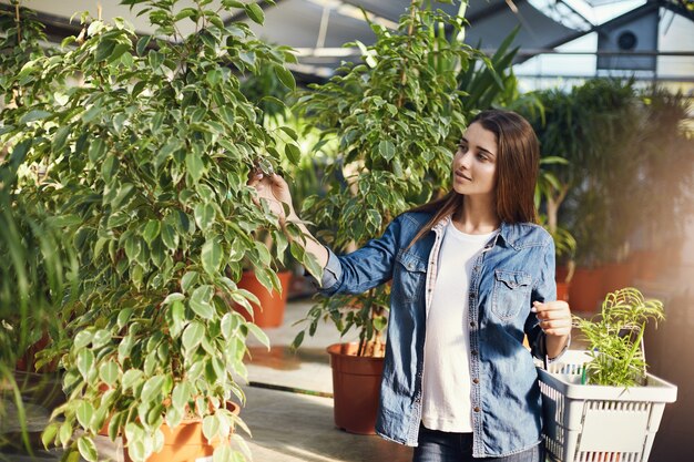 파란색 셔츠를 입고 시장에서 식물에 대 한 쇼핑 소녀.